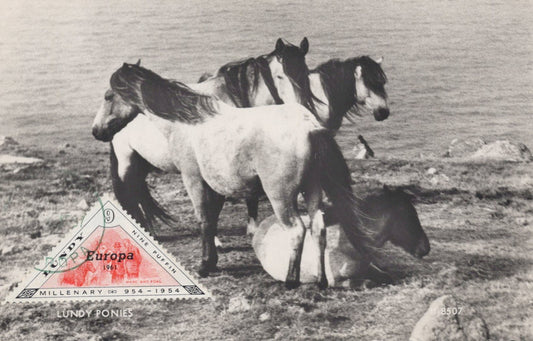 Lundy Great Britain Local Maxi Card FDC Real Photo Ponies Europa ZAYIX 0125M0363