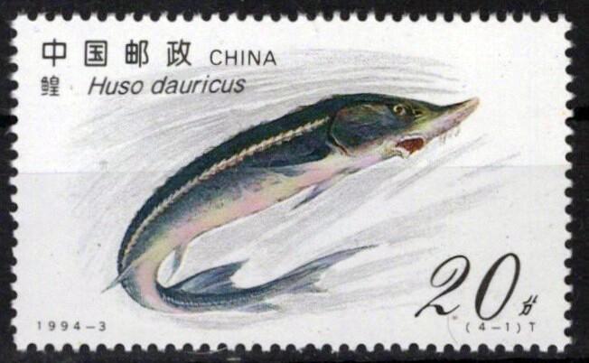 China PRC 2487 MNH Fish Sturgeon ZAYIX 0125S0201M