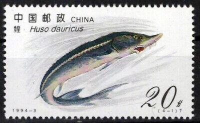 China PRC 2487 MNH Fish Sturgeon Zayix Stamps 0125S0201M