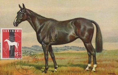 Suriname Maximum Card FDC Horse in Field Zayix Stamps ZAYIX 0125M0377