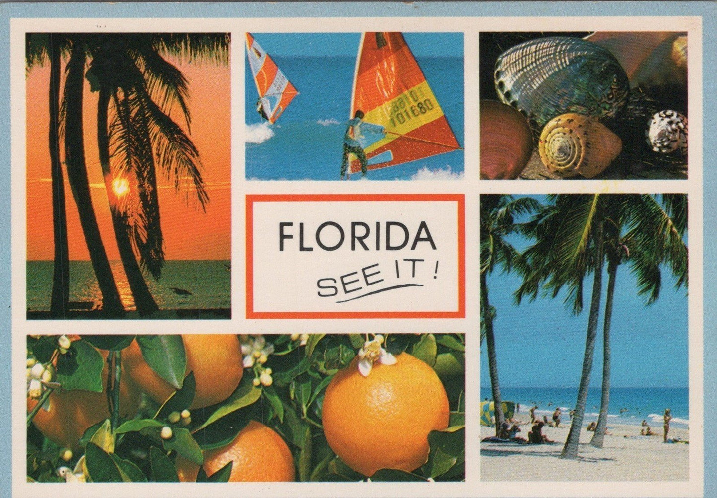 Florida See It! Beach Oranges Seashells Windsurfing 083022PC04M Postcard ZAYIX