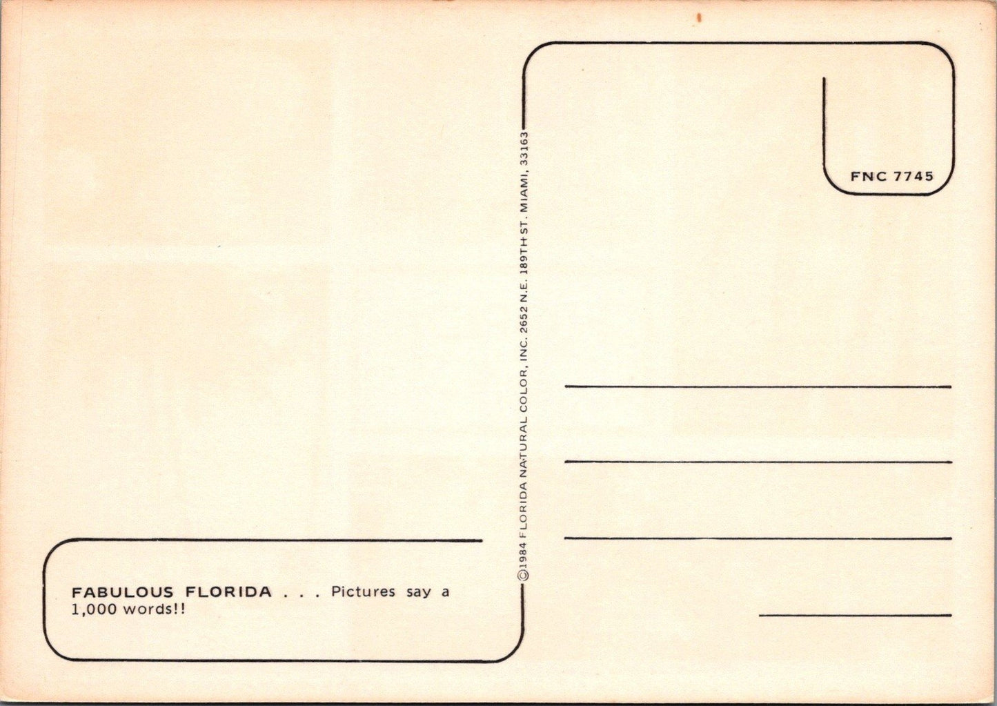Florida See It! Beach Oranges Seashells Windsurfing 083022PC04M Postcard ZAYIX