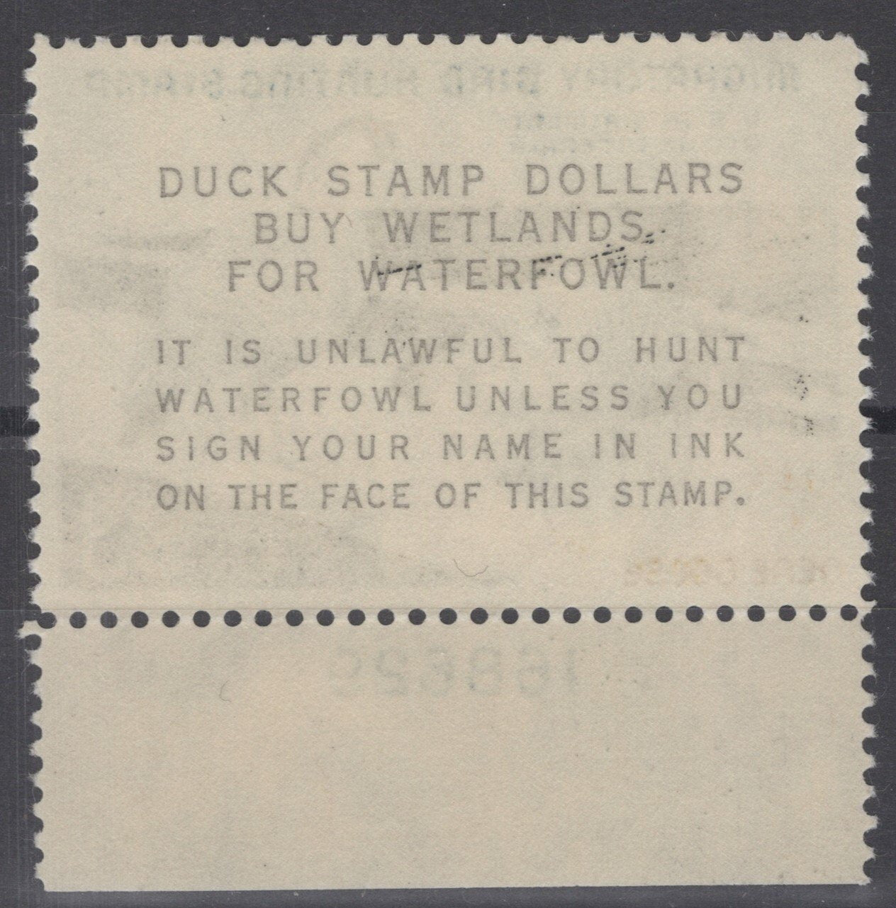 US RW31 MNH 1964 Plate# Federal Hunting Permit Duck Stamp ZAYIX 112222S33