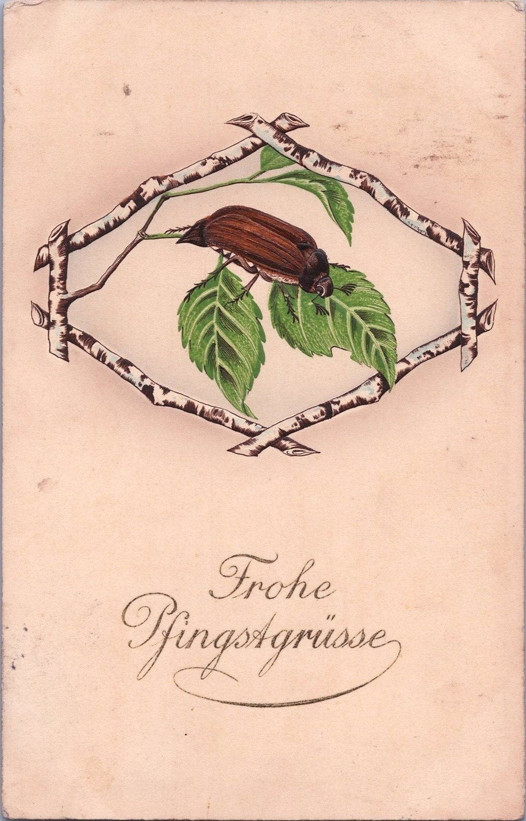 Happy Pentecost Greetings Beetle Bug Embossed c1910 ZAYIX 060522SM91