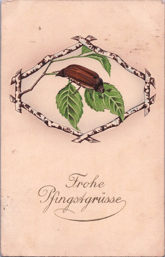 Happy Pentecost Greetings Beetle Bug Embossed c1910 ZAYIX 060522SM91