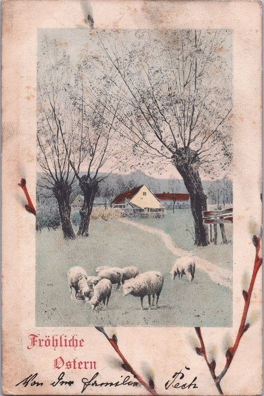 Happy Easter Sheep in Pasture Pussy Willow Farm c1910 ZAYIX 060522SM96