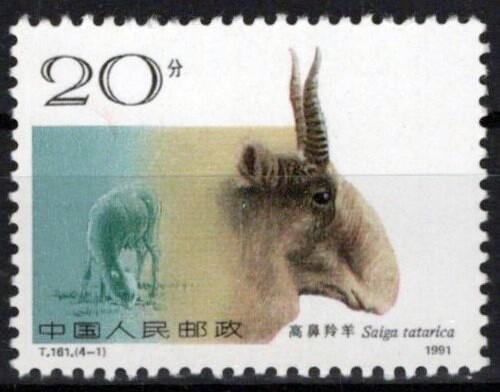 China PRC 2322 MNH Horned Animals Wildlife ZAYIX 1024S0591M
