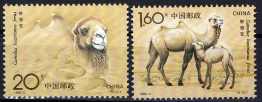 China PRC 2433-2434 MNH Camels Animals ZAYIX 1224S0043