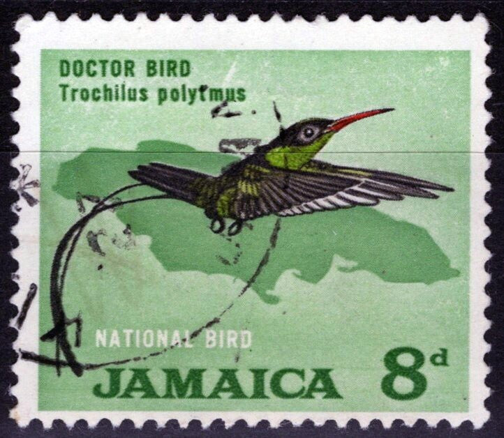 Jamaica 224 USED Animals Birds Maps Streamer Hummingbird ZAYIX 040322S81