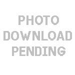 Netherlands 286-301 MNH Queen Wilhelmina Zayix Stamps 0125S0265