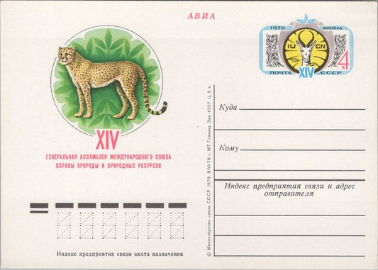 Russia USSR Postal Card Stationery Wildlife Cheetah Cats ZAYIX 070822SM162M