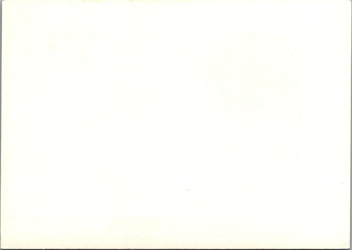 Russia USSR Postal Card Stationery Wildlife Cheetah Cats ZAYIX 070822SM162M