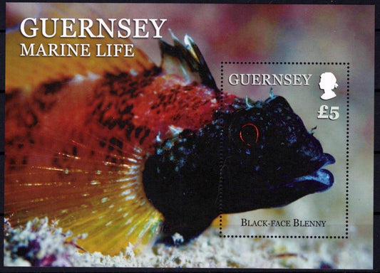 Guernsey 1200 MNH Marine Life Fish ZAYIX 080323SM74M