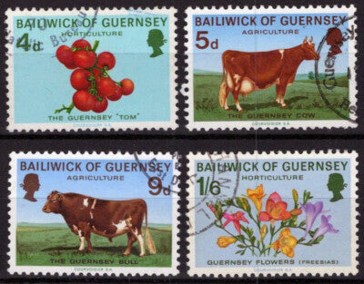 Guernsey 33-36 Used Farm Animals Plants Food Agriculture ZAYIX 021423S95