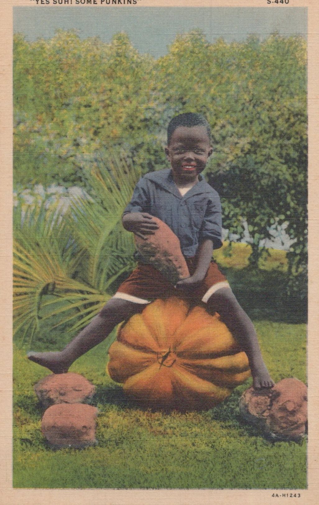 Postcard Collection