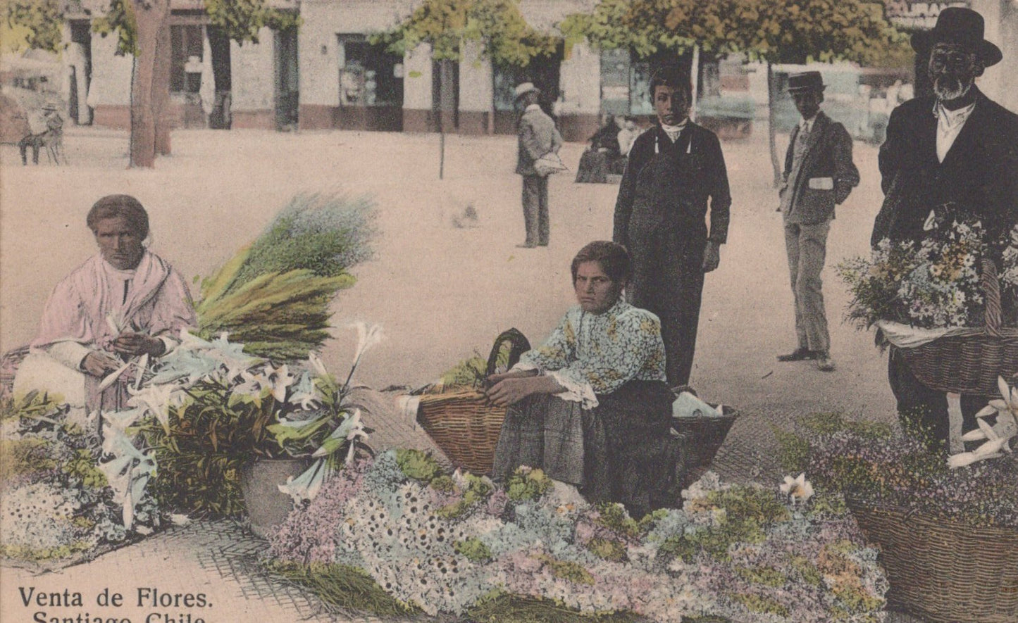 Postcard Collection