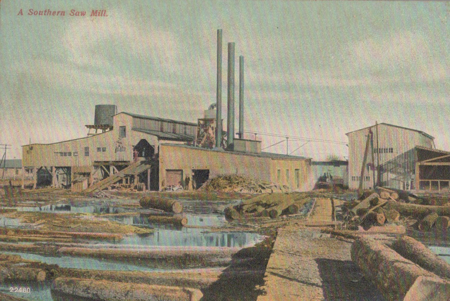 Postcard Collection
