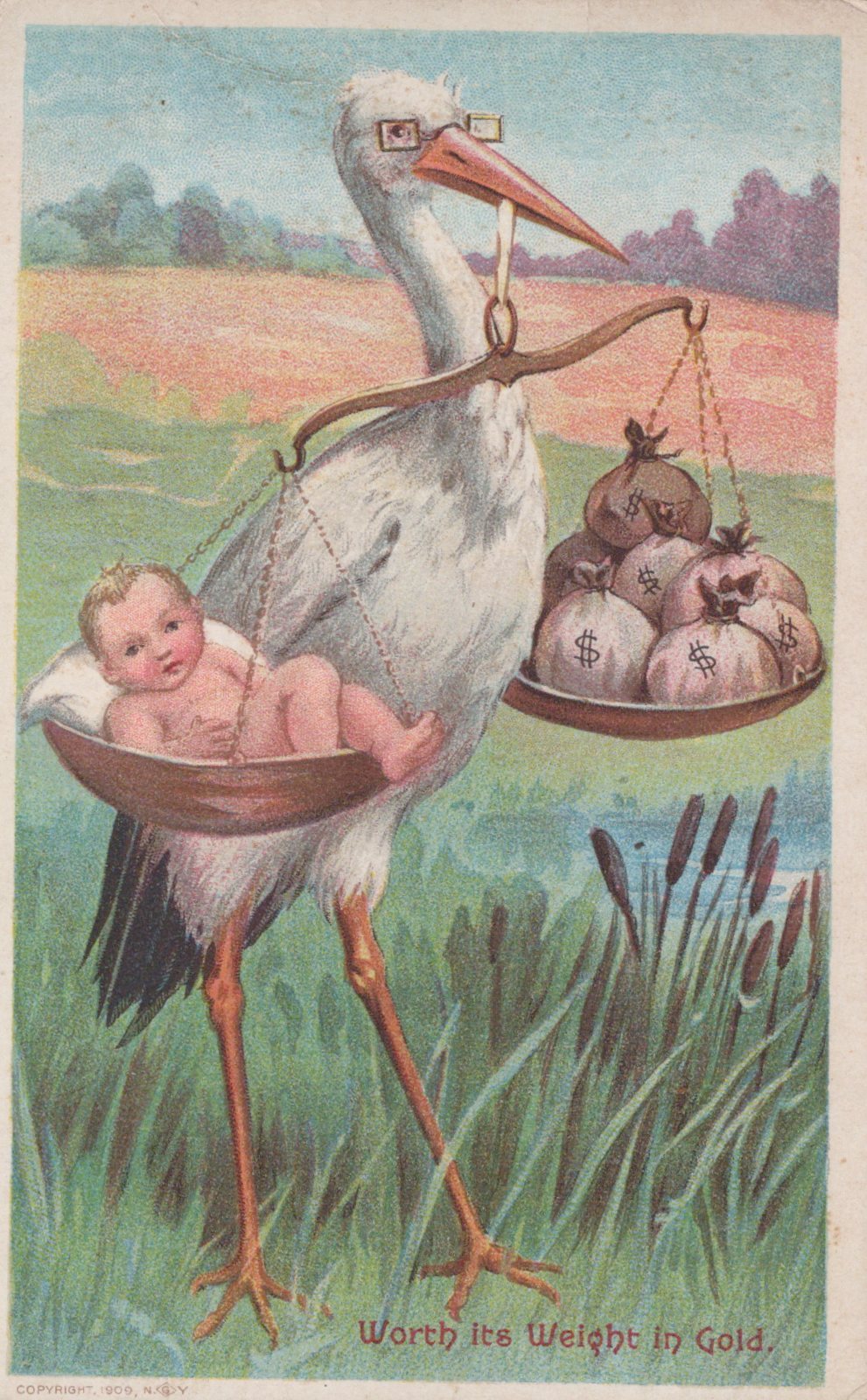 Postcard Collection