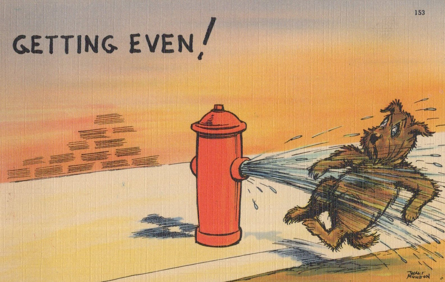 Postcard Collection