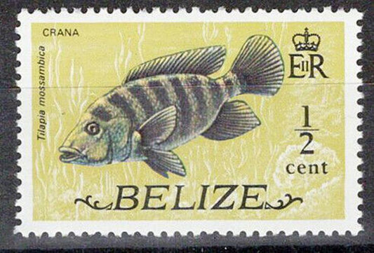 ZAYIX Belize 327 MNH Crana fish Marine Life 072622S36M
