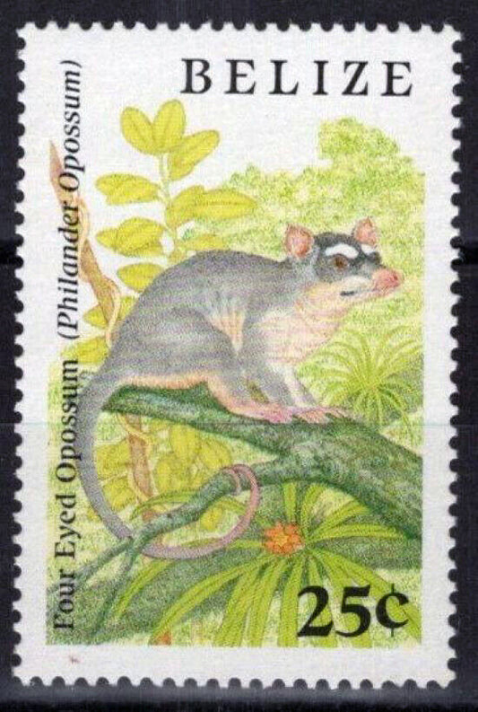 ZAYIX Belize 911 MNH Wild Life Four-Eyed Opossum 083022S04