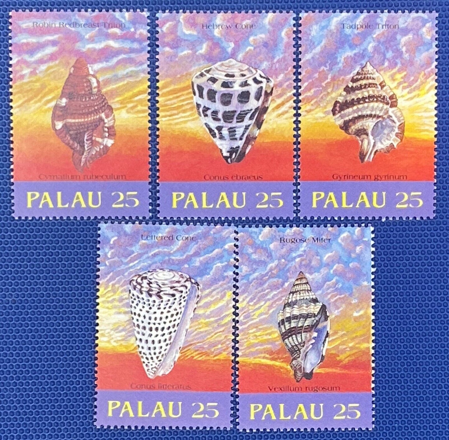 Palau 212-216 MNH Marine Life Shells