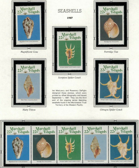 ZAYIX - 1987 Marshall Islands #152-156a  MNH - Seashells - Marine Life