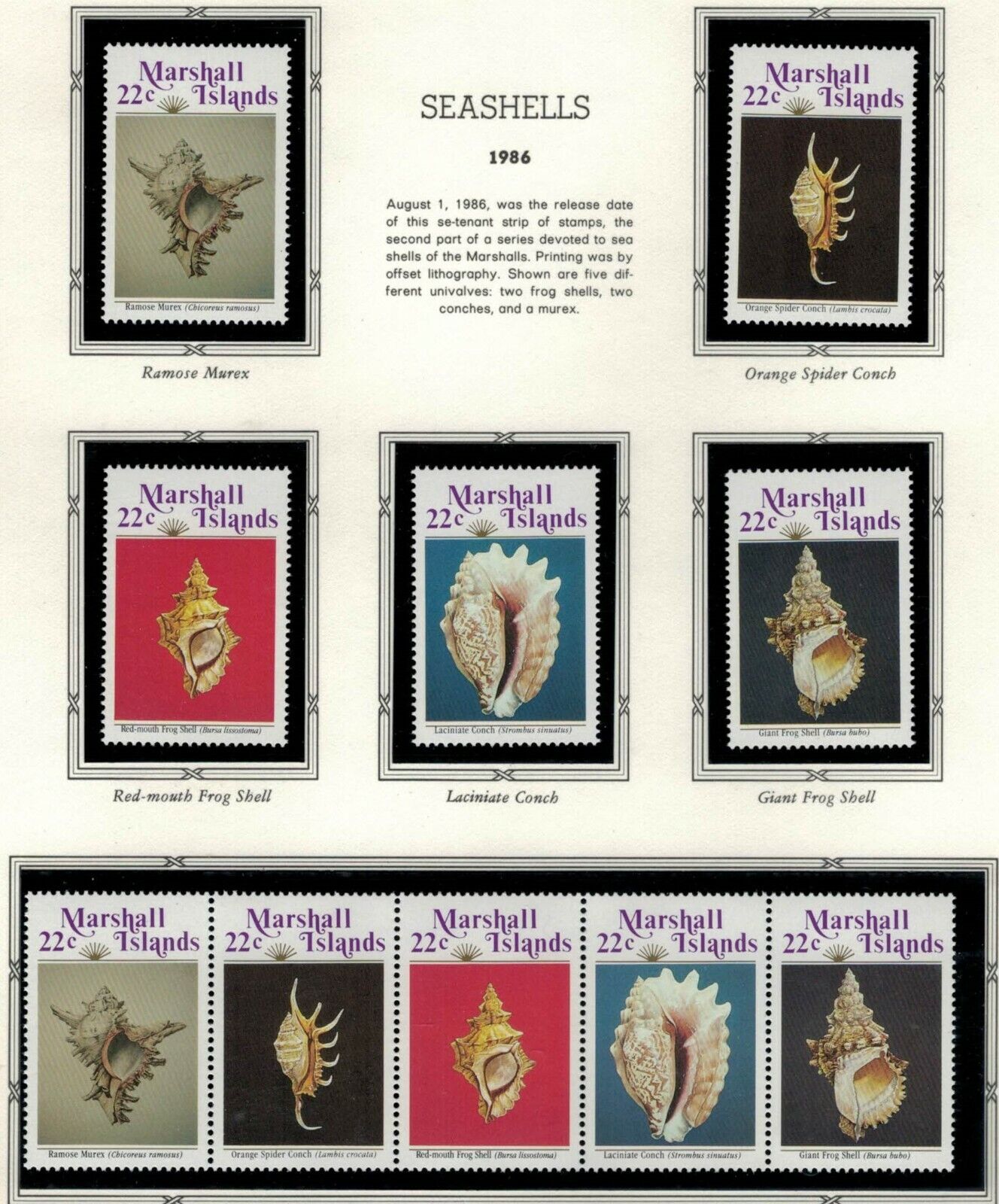 ZAYIX - 1986 Marshall Islands #119-123a - MNH - Seashells - Marine Life