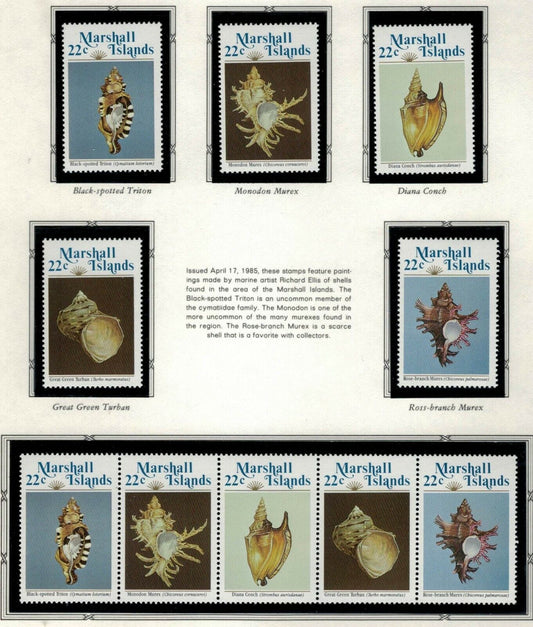 ZAYIX - 1985 Marshall Islands #65-69a - MNH - Seashells - Marine Life