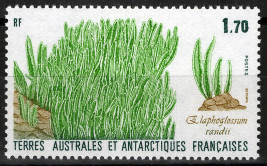 FSAT TAAF 133 MNH Elephant Grass Plants Arctic Nature ZAYIX FSA-S0101M