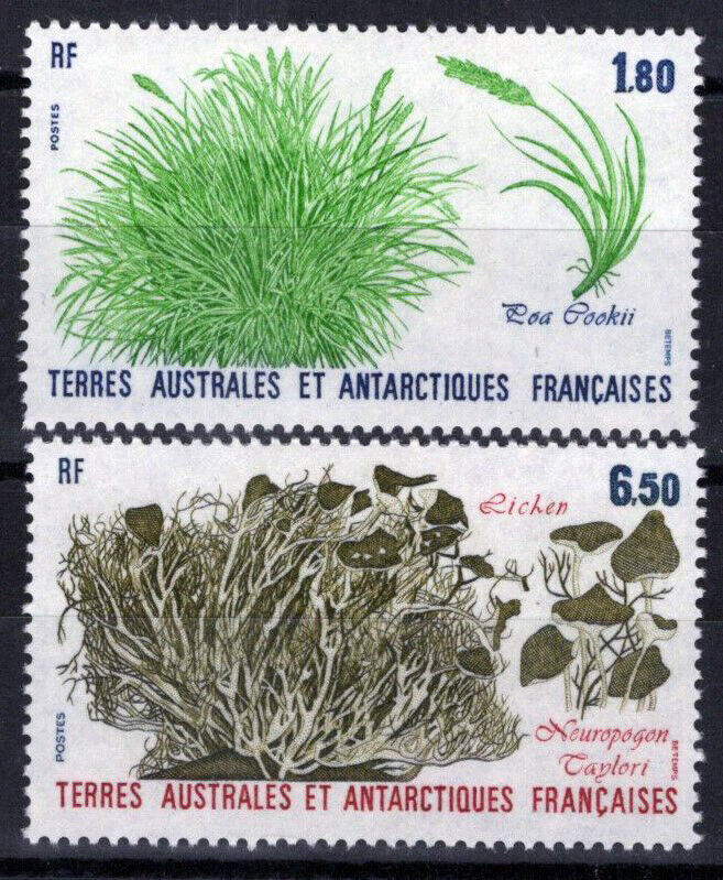 ZAYIX FSAT TAAF 126-127 MNH Arctic Plants Flora Nature Lichen 092922S21M