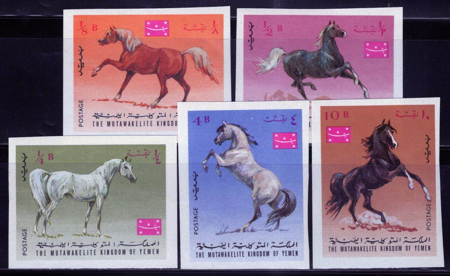 ZAYIX Yemen 429-433 B MNH Arab Horses Animals Pets 013123S28