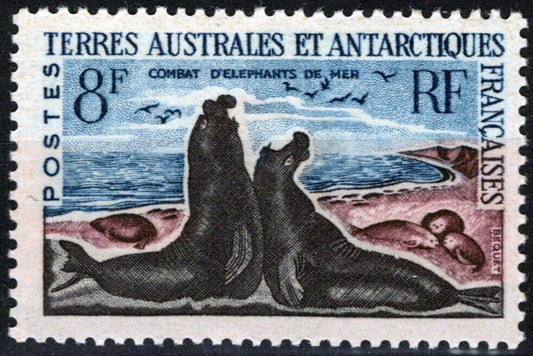 ZAYIX FSAT TAAF 22 MNH Elephant Seals Marine Life Animals Antarctic 060823S29