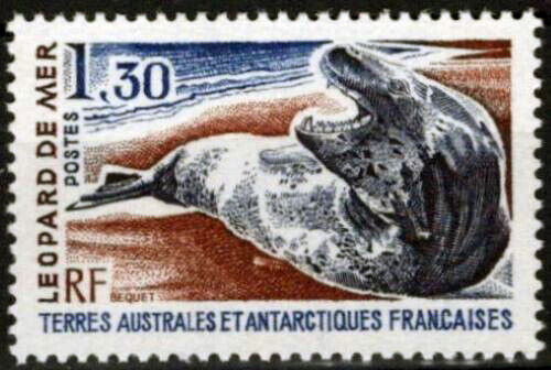 ZAYIX FSAT TAAF 92 MNH Sea Leopard Marine Life Polar Antarctic 060823S59M