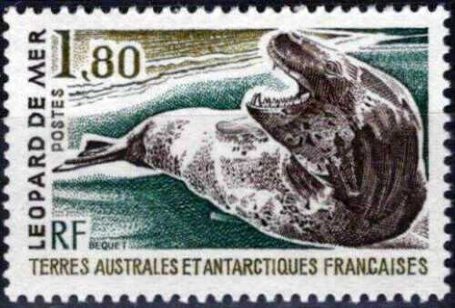 ZAYIX FSAT TAAF 93 MNH Sea Leopard Marine Life Polar Antarctic 060823S60M