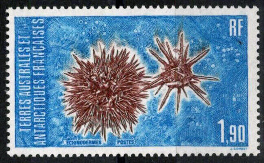 ZAYIX FSAT TAAF 120 MNH Echinoderms Marine Life  Polar Antarctic 060823S71M