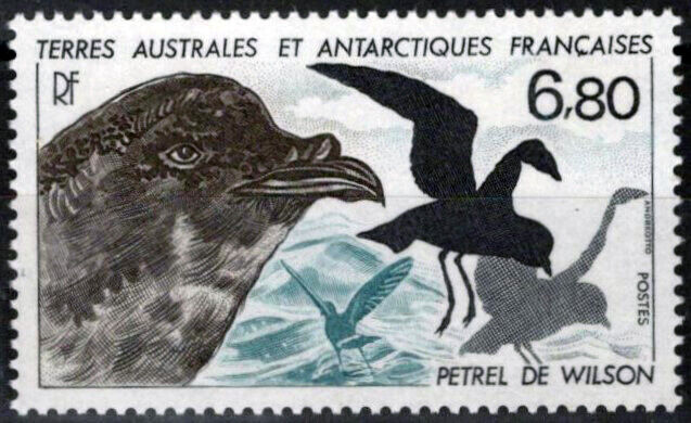 ZAYIX FSAT TAAF 139 MNH Birds Wilson's Petrel Polar Antarctic 060823S78M