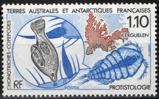 ZAYIX FSAT TAAF 151 MNH Fish Marine Life Protozoa Polar Antarctic 060823S84M