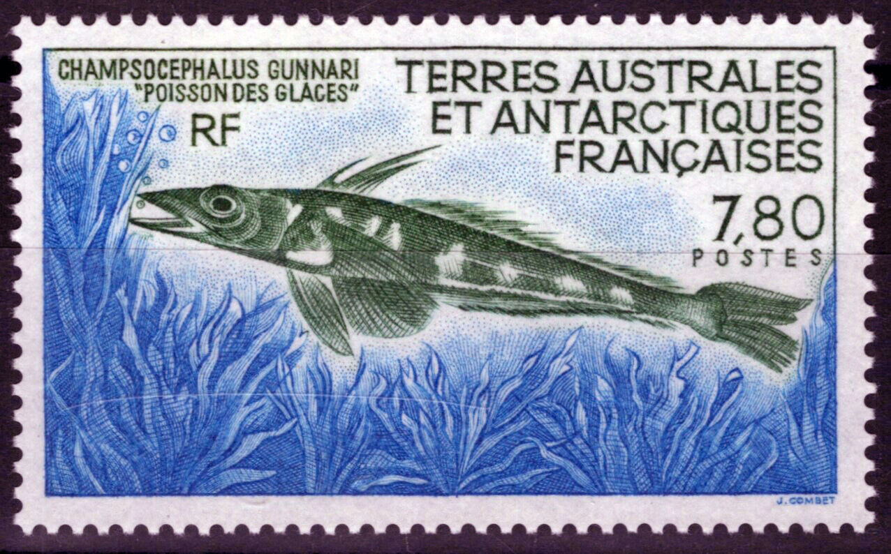 ZAYIX FSAT TAAF 164 MNH Marine Life Fish Polar Antarctic 060823S92M