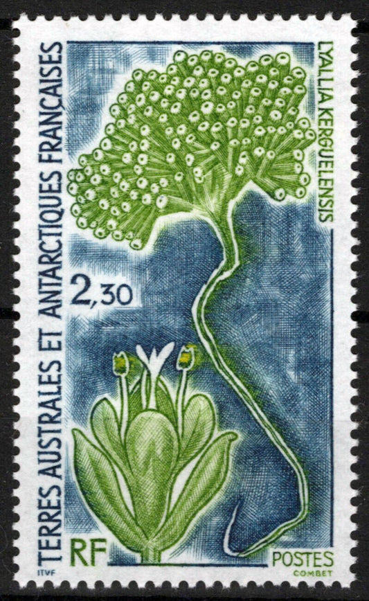 ZAYIX FSAT TAAF 185 MNH Plants Nature Flora Antarctic Polar 060823S107