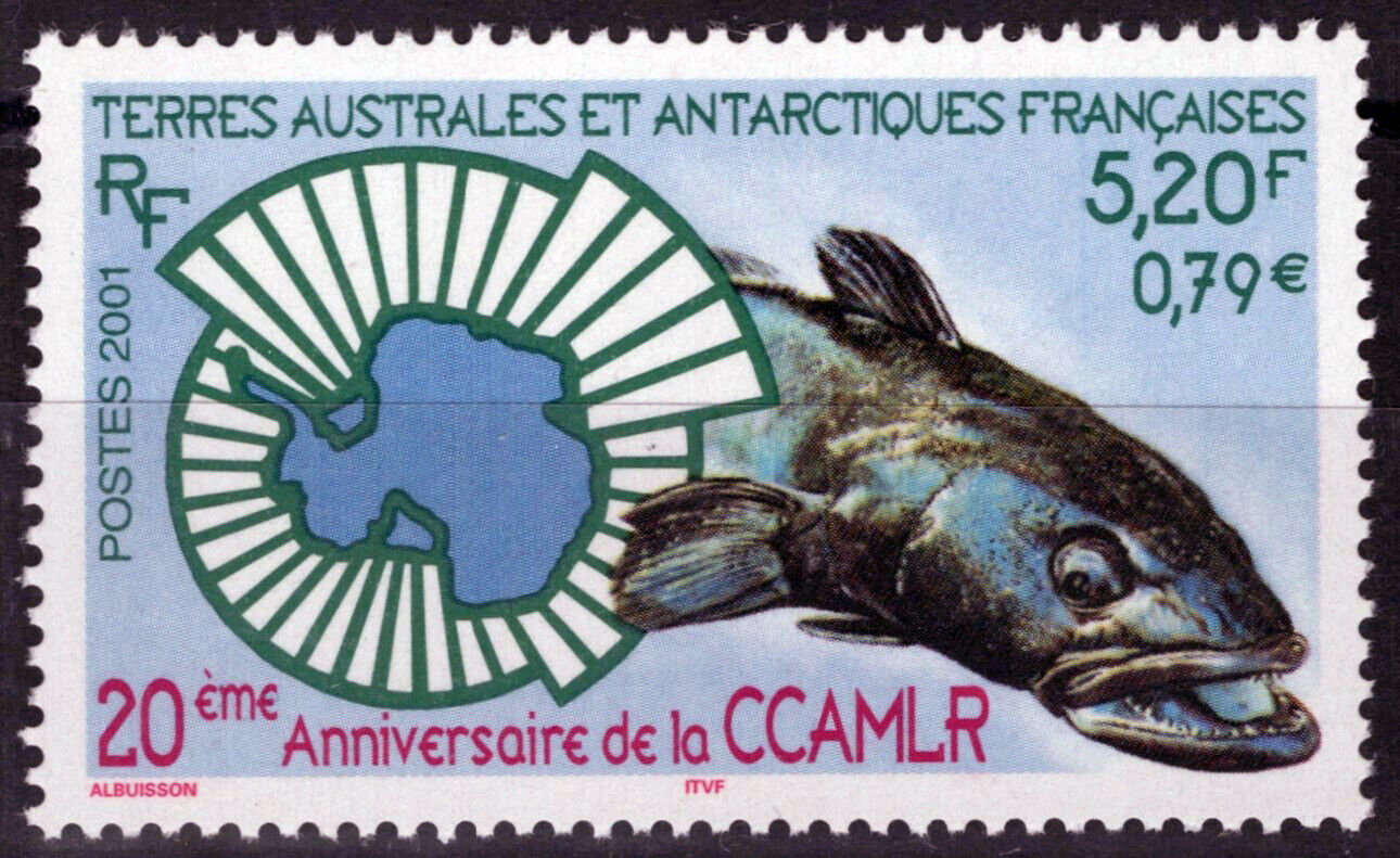 ZAYIX FSAT TAAF 293 MNH Fish Marine Life Conservation Antarctic 060823S167