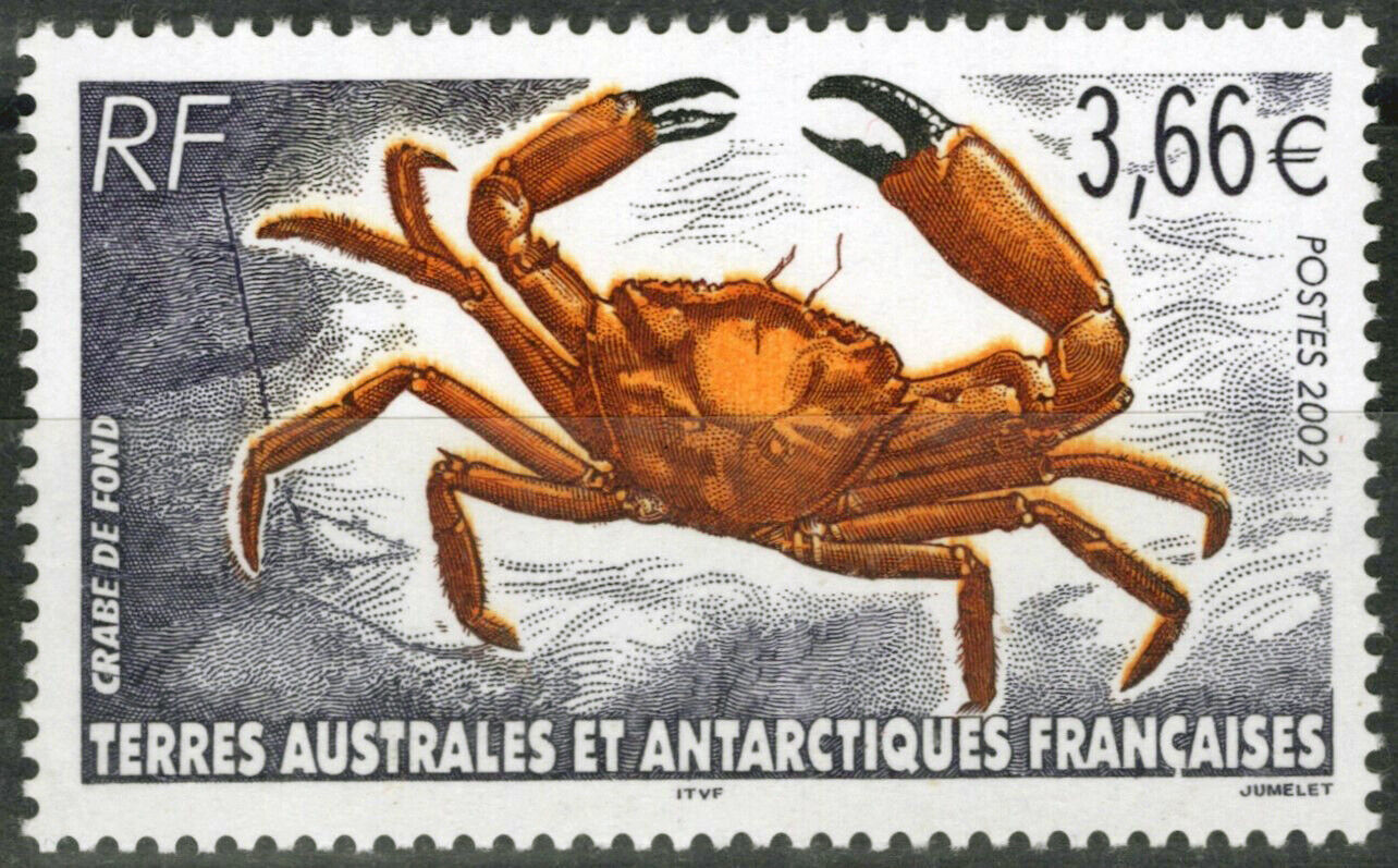 FSAT TAAF 308 MNH Crab Marine Life Crustaceans Antarctic Polar 060823S176