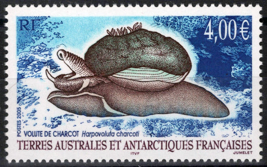 FSAT TAAF 352 MNH Sea Snail Marine Life Antarctic Polar ZAYIX FSA-S0162M