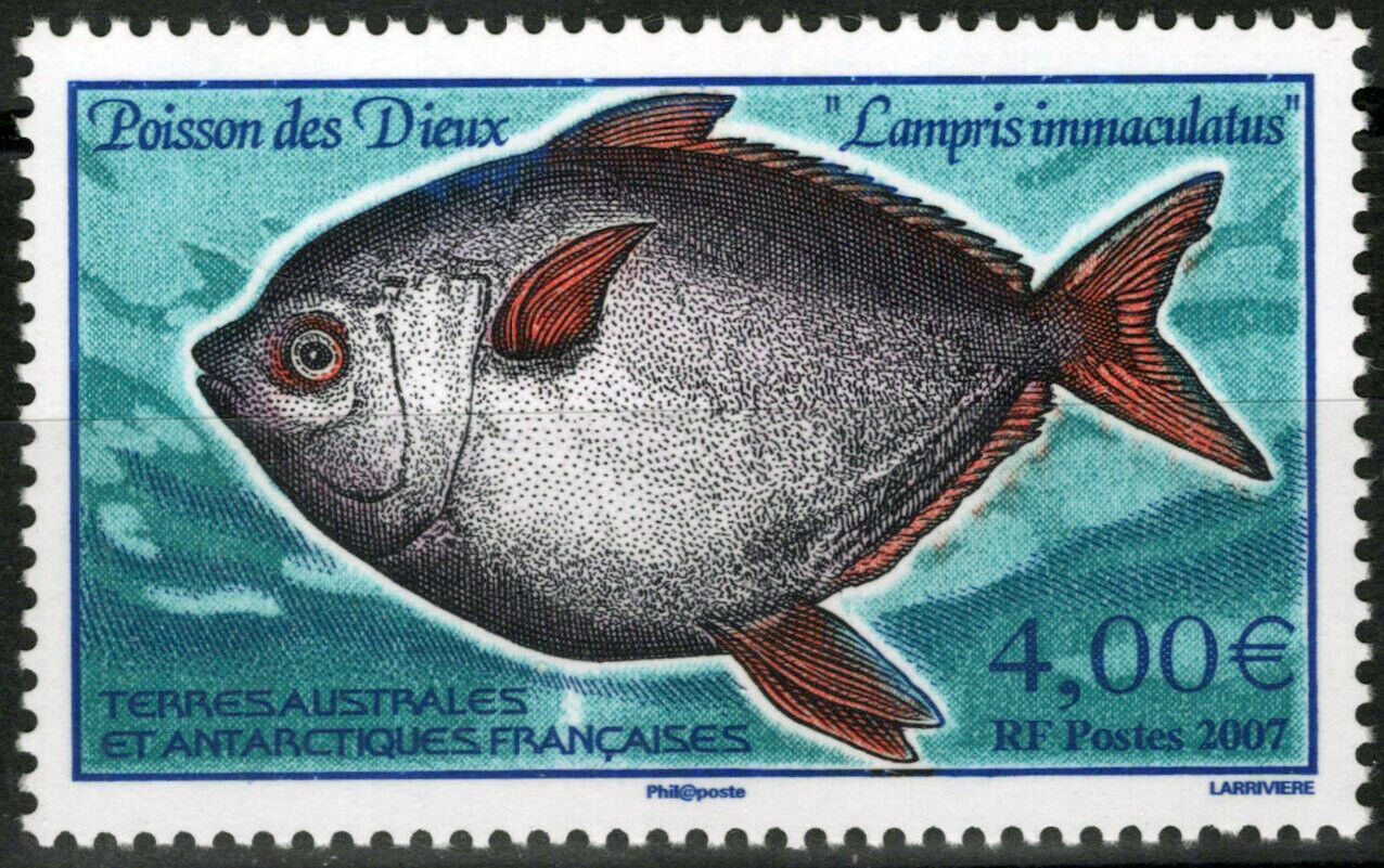 ZAYIX FSAT TAAF 382 MNH Fish Marine Life Polar Antarctic 061923S22