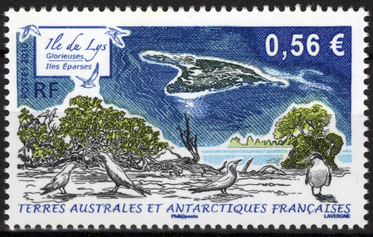 ZAYIX FSAT TAAF 424 MNH Birds Nature Antarctic Polar 061923S43