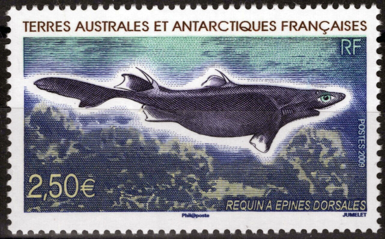 ZAYIX FSAT TAAF 415 MNH Fish Marine Life Shark Polar Antarctic 061923S39