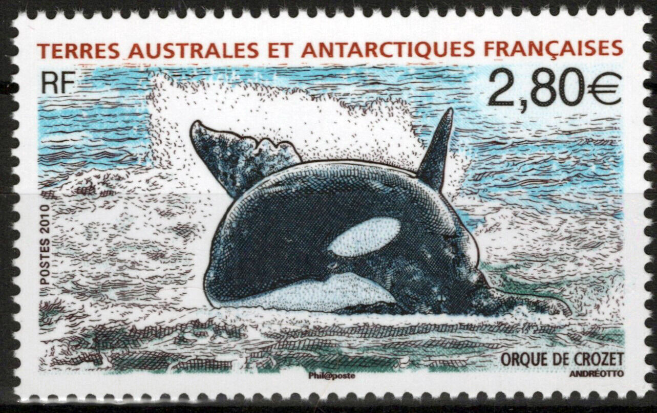 ZAYIX FSAT TAAF 428 MNH Marine Life Crozet Orca Antarctic Polar 061923S47