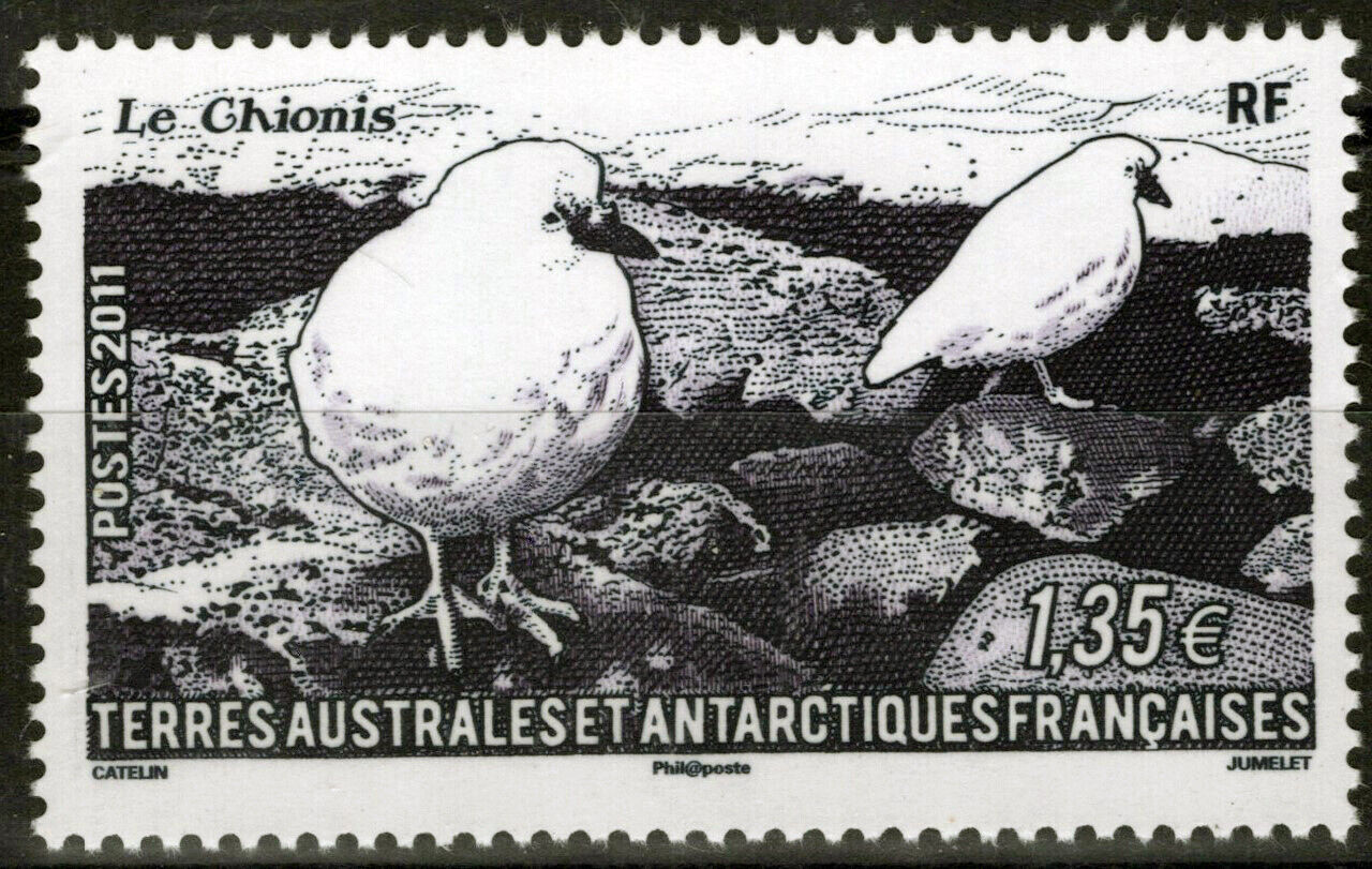FSAT TAAF 440 MNH Birds Sheathbills Antarctic Polar 061923S56