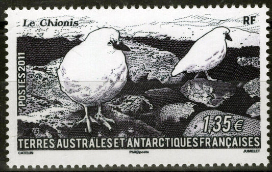 ZAYIX FSAT TAAF 440 MNH Birds Sheathbills Antarctic Polar 061923S56