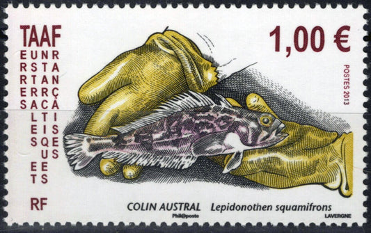 ZAYIX FSAT TAAF 474 MNH Fish Fishing Antarctic Polar Marine Life 061923S73